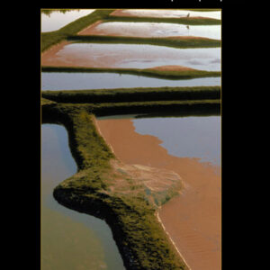 Balades en Ballades